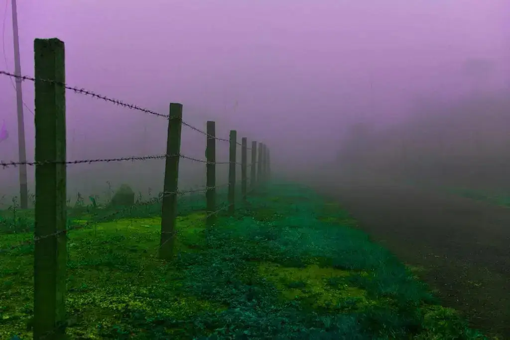 Куттикканам: Green Meadows Vagamon