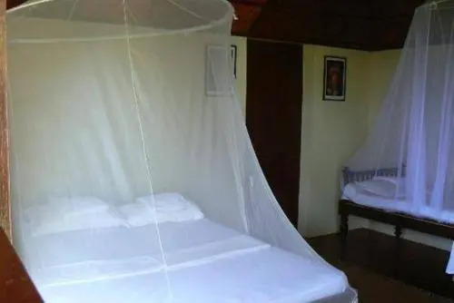 Bio Veda Ayurvedic Hill resort — фото 1