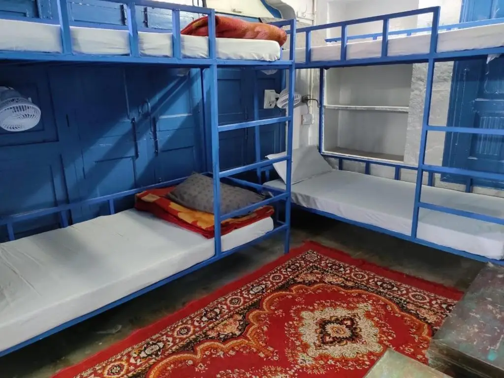Джодхпур: Bob Hostel - Hakuna Matata