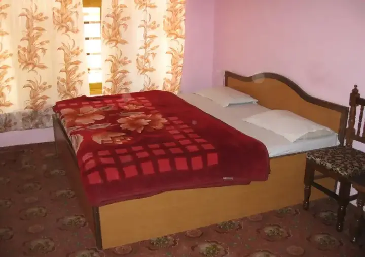 Шринагар: Hotel Gulistan