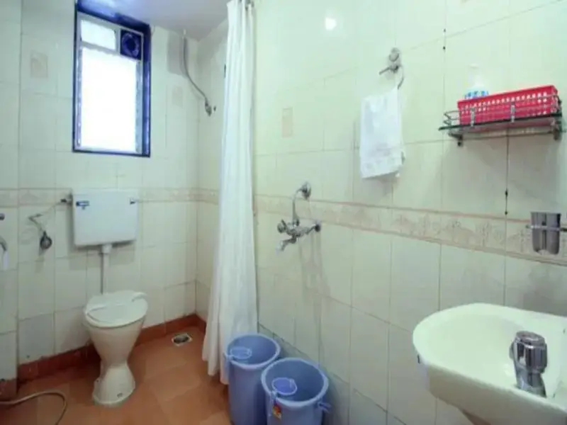 Панвель: Hotel Park Inn