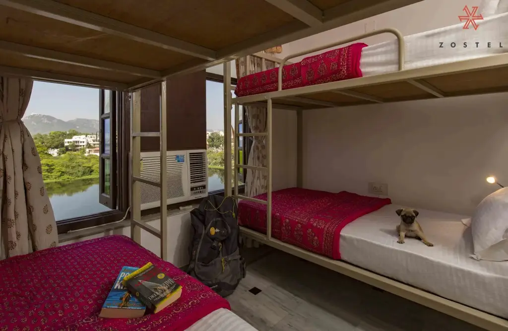 Удаипур: Zostel Udaipur - Hostel