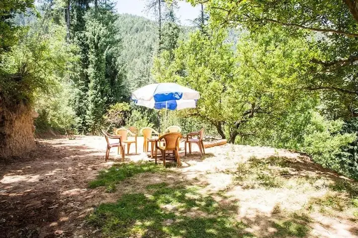 Куфри: Ridhabhi Home Stay