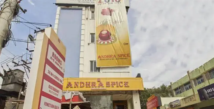 Andhra Spice Residency — фото 1