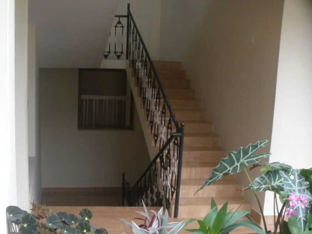 Jungle Palace Homestay — фото 1