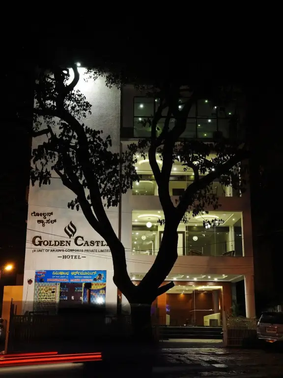 Hotel Golden Castle — фото 1