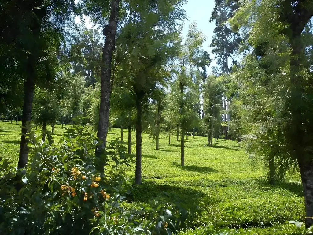 Ути: Palve Sugavasam Resorts - Ooty