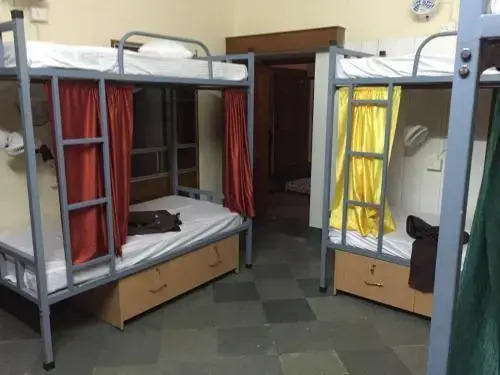 Джайпур: Doodle Rack Hostel