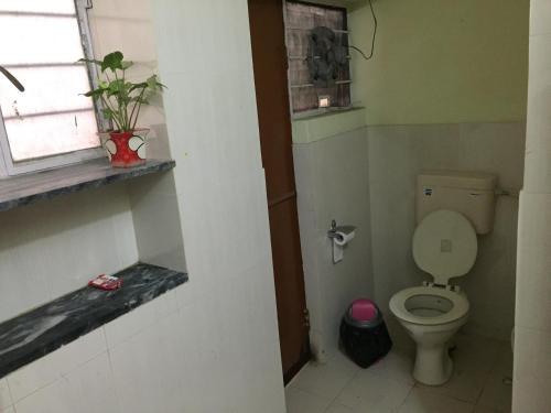 Джайпур: Doodle Rack Hostel