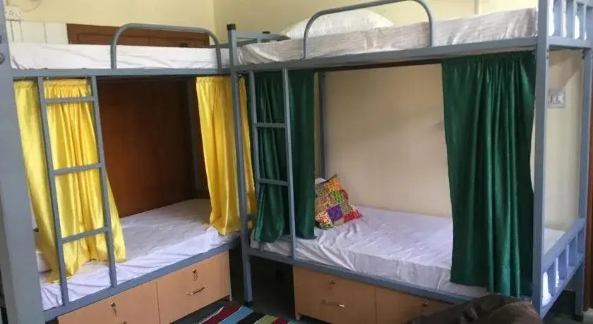 Джайпур: Doodle Rack Hostel