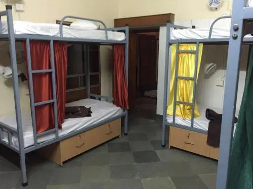 Джайпур: Doodle Rack Hostel