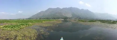Шринагар: Houseboat Kohisar
