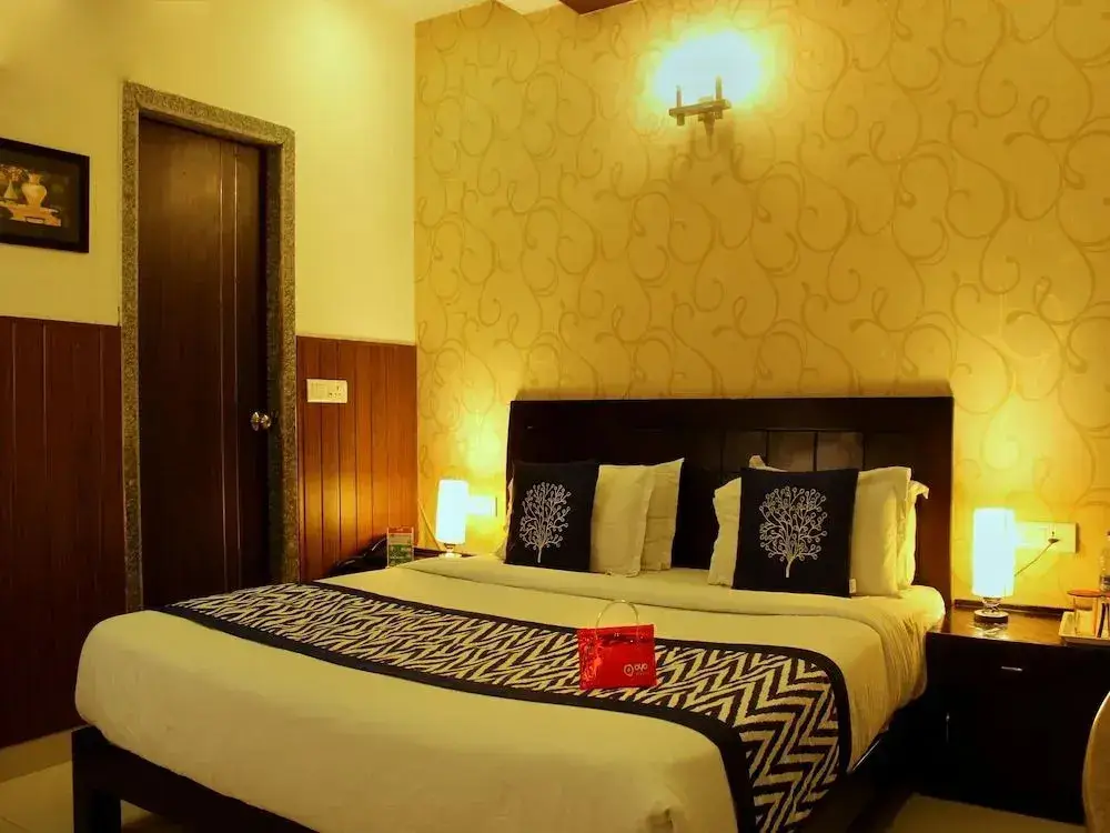 Удаипур: OYO 1534 Hotel The Archi