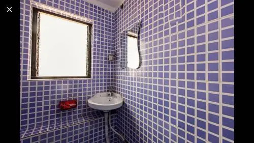 Панаджи: OYO 35596 Hotel Amar