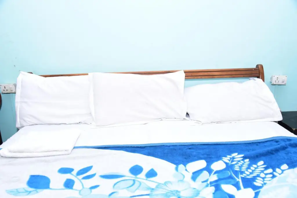 Газиабад: OYO Rooms Ghaziabad Railway Station 2