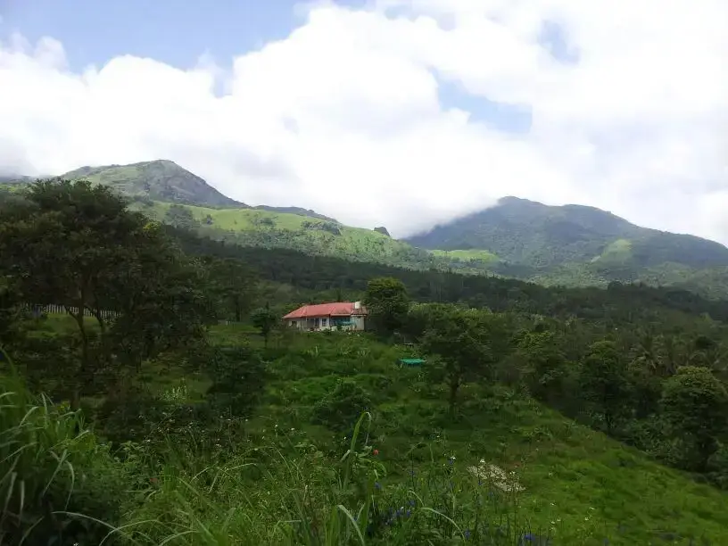 Wayanad Adventures Home Stay — фото 1