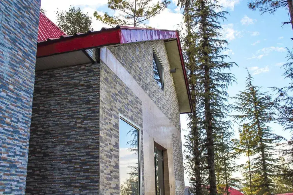 Shimla View Home — фото 1