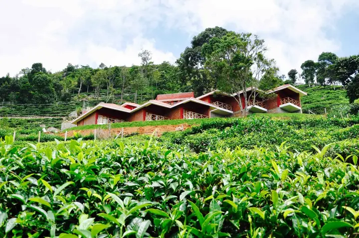 Ути: Hanging Huts Resort - Kotagiri