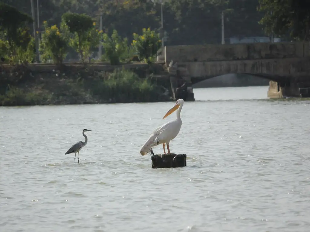 Hotel Shiv lake — фото 1