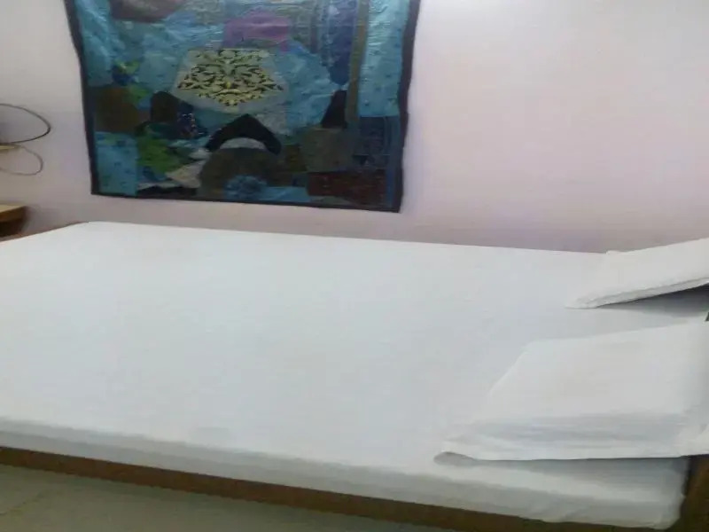 Джайсалмер: Hotel Peacock