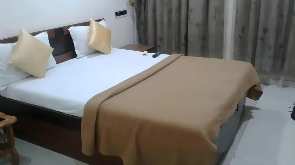 Ахмедабад: hotel magic palace
