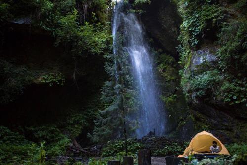 Касоль: Junglebook Homestay