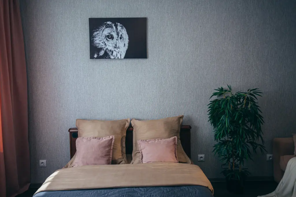 Калининград: Kaltkhof Apartments