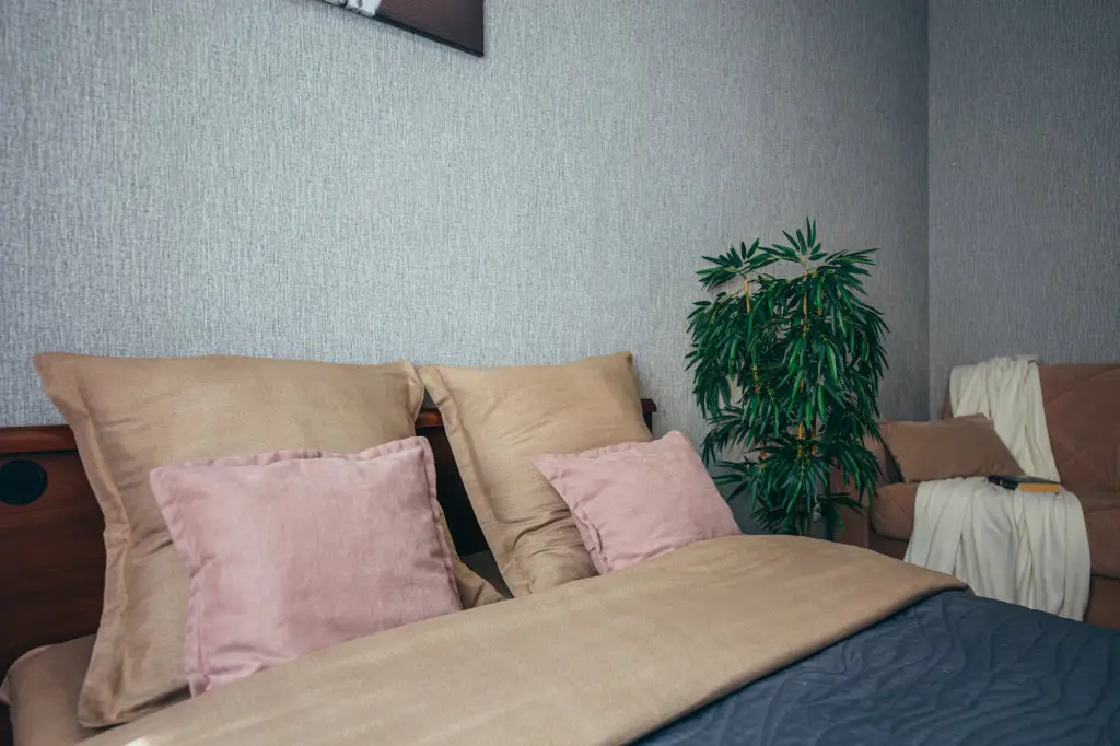 Калининград: Kaltkhof Apartments