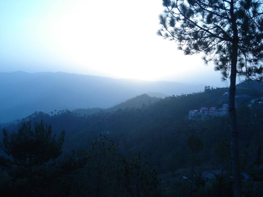 Woodsvilla Residency Ranikhet — фото 1