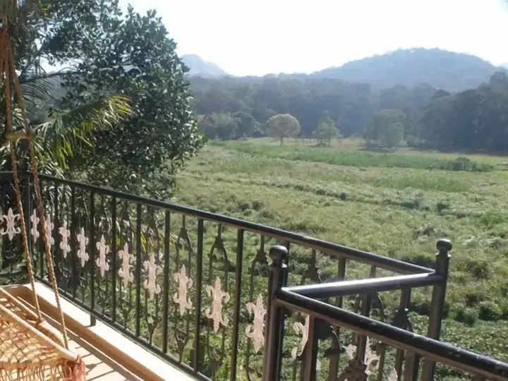 Кумили: Jungle Palace Homestay