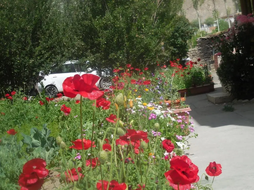 Лех: Sangto Green Guest House