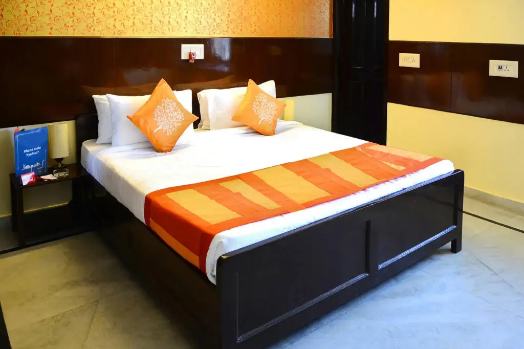 Нью-Дели: Airport Hotel Olive & Blue