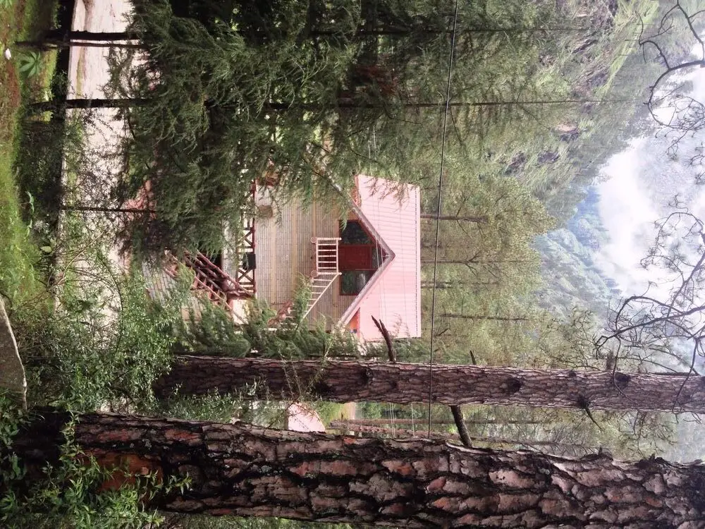 Касоль: Parvati Woods Cottage