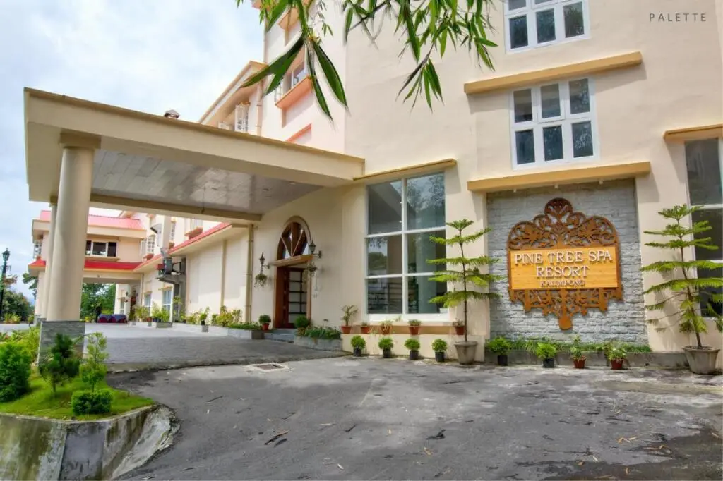 Pine Tree Spa Resort — фото 1