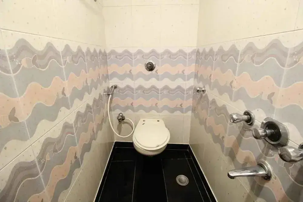 Мумбаи: Hotel Ripon Palace