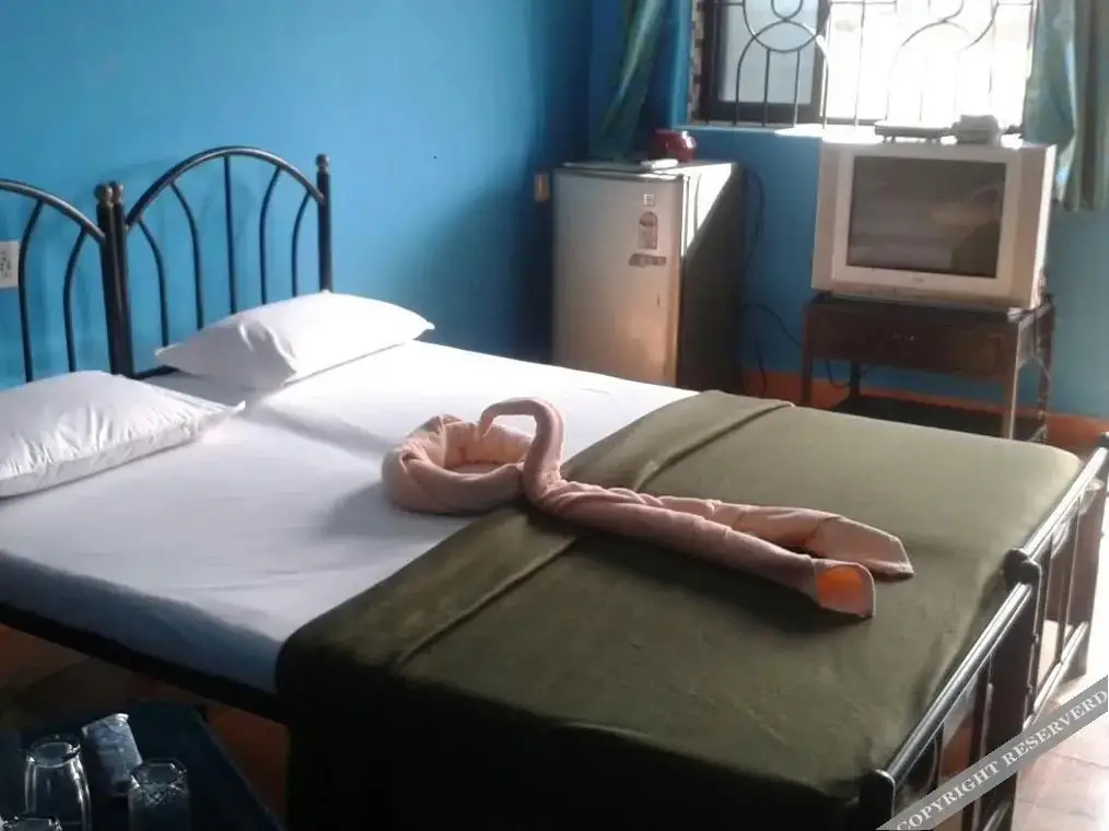 Калангут: Salson Ferns Nest Hotel