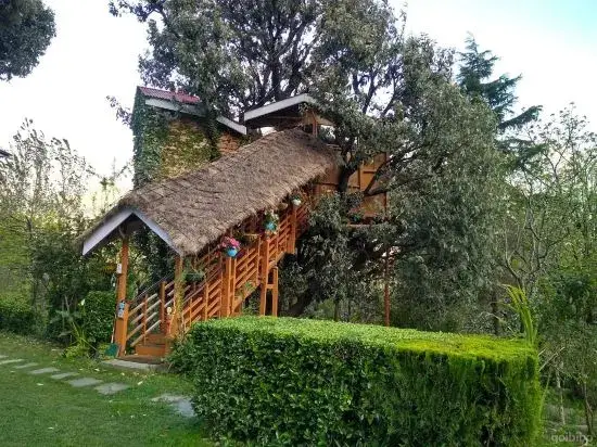 Наггар: Manali Treehouse Cottages