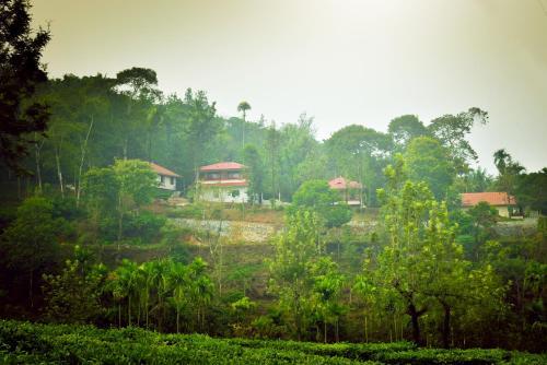 Green Garden Holiday Home Wayanad — фото 1