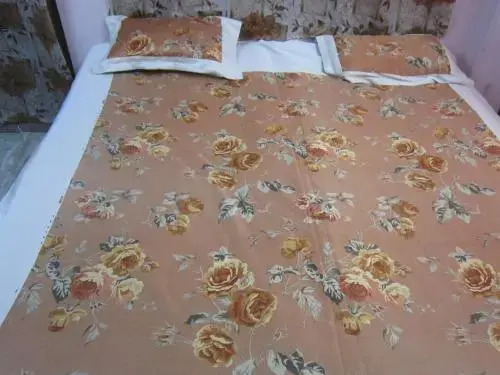 Sagar Guest House — фото 1