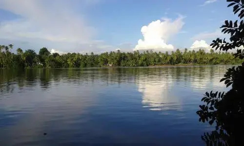 Вайпин: Big Banana Island Retreat