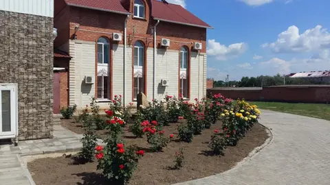 Старая Мельница — фото 1