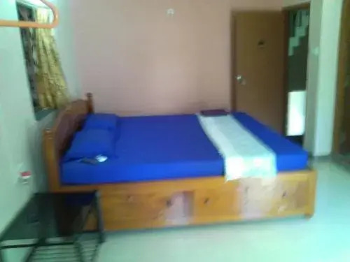 Панаджи: Menezes House
