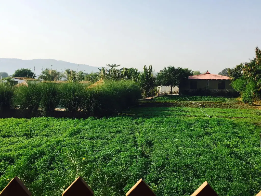 Савай-Мадхопур: Maa Ashapura Resort