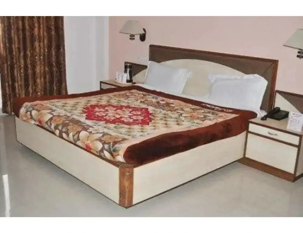 Vishal Hotel — фото 1