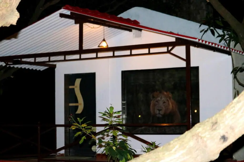 Сазан: The Wilds Villa Gir Resort with Swimming Pool