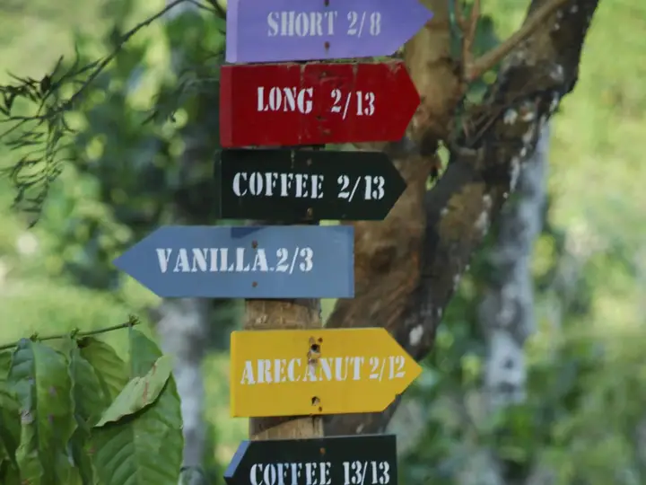 Колагаппара: Tranquil Resort - BluSalzz Collection, Wayanad