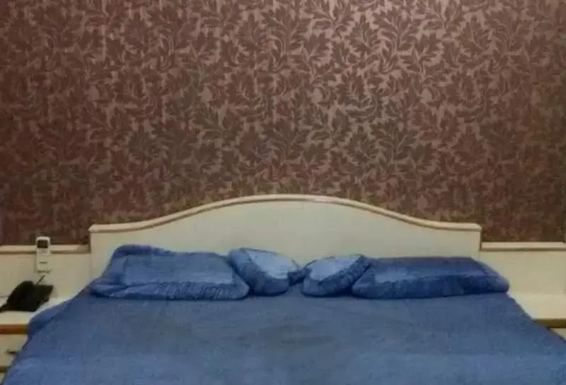 Hotel Raj Mahal — фото 1