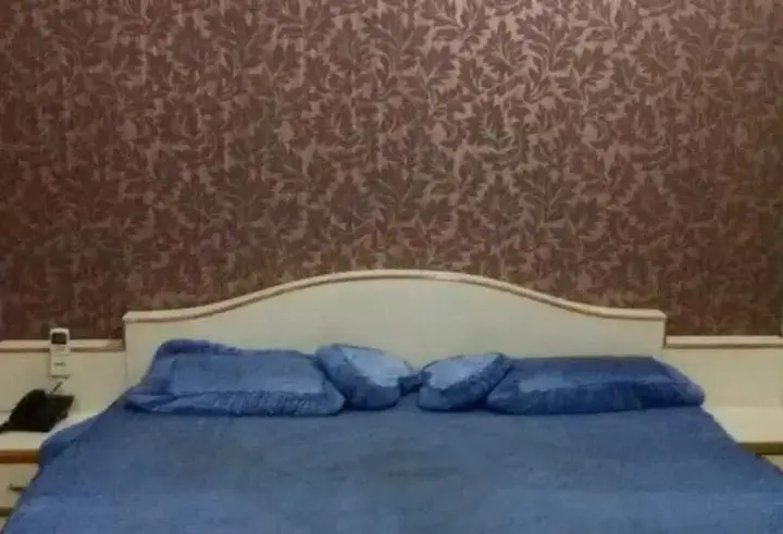 Беавар: Hotel Raj Mahal
