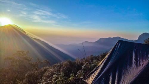 Муннар: Munnar Adventures