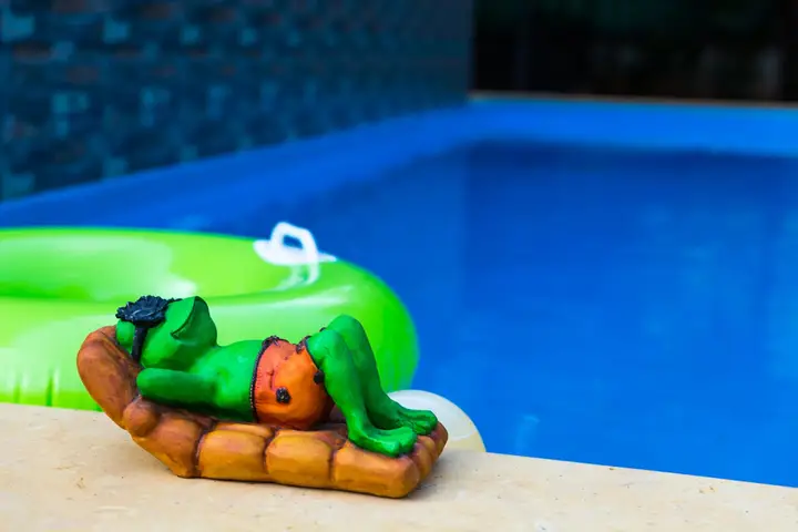 Южный Гоа: Гостевой Дом Lazy Frog Goa